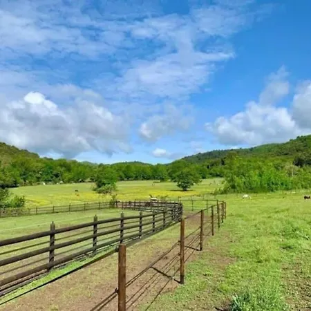 Logement Atypique - Chevaux Miniatures Rhea Horses Bargemon Exterior photo